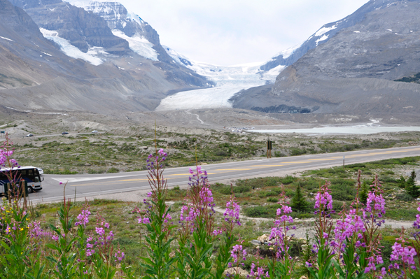 Athabasca Glacier